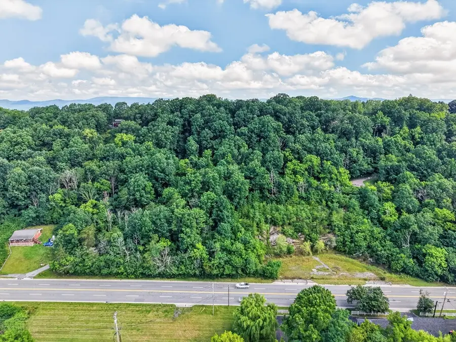 Lot 42 Lee Highway, Wytheville, VA 24382 - #2