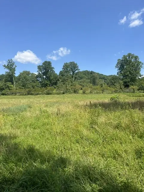 TBD North Fork River Rd, Abingdon, VA 24210 - #3