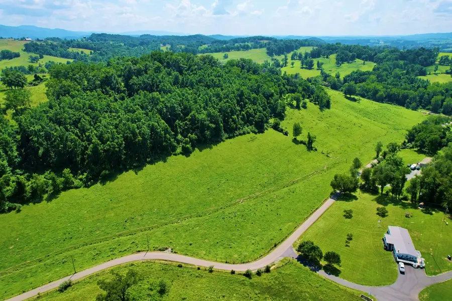 0 Dillard Rd, Chilhowie, VA 24319 - #2