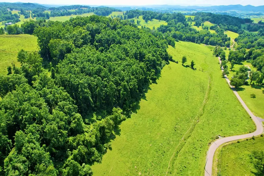 0 Dillard Rd, Chilhowie, VA 24319 - #3