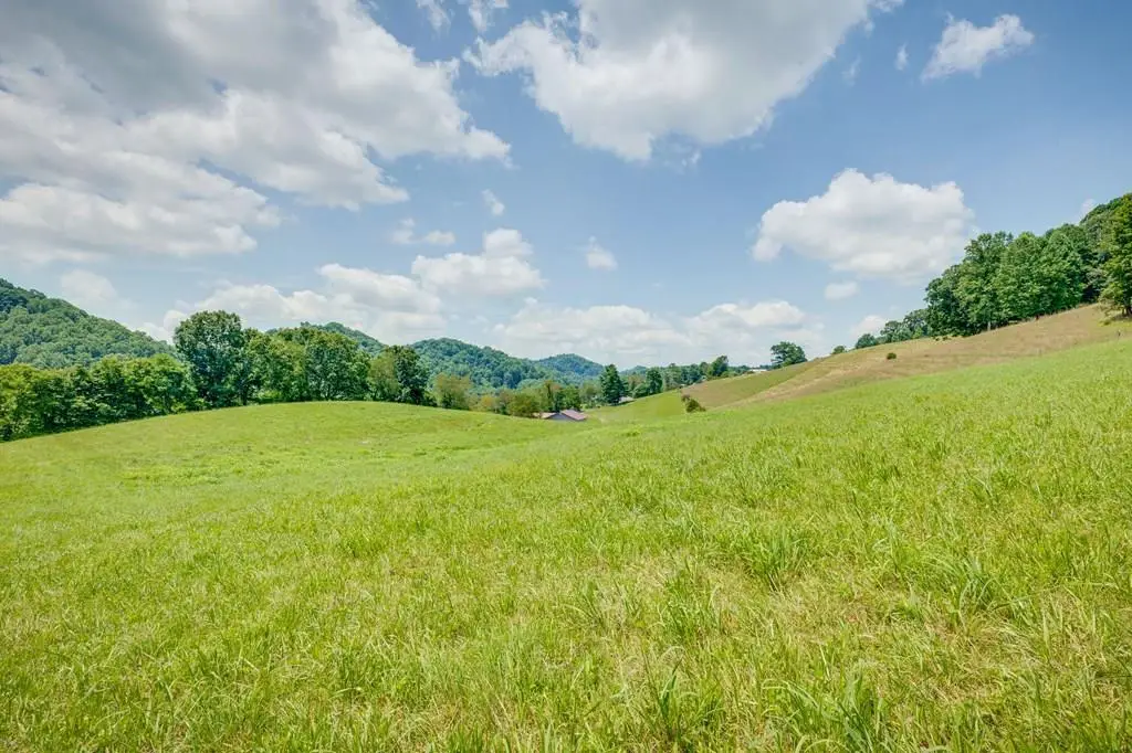 TBD Call Valley Road, Swords Creek, VA 24649 - #1