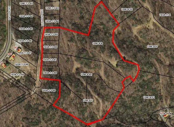 8.9 Acre Little Fawn Trl, Fancy Gap, VA 24328
