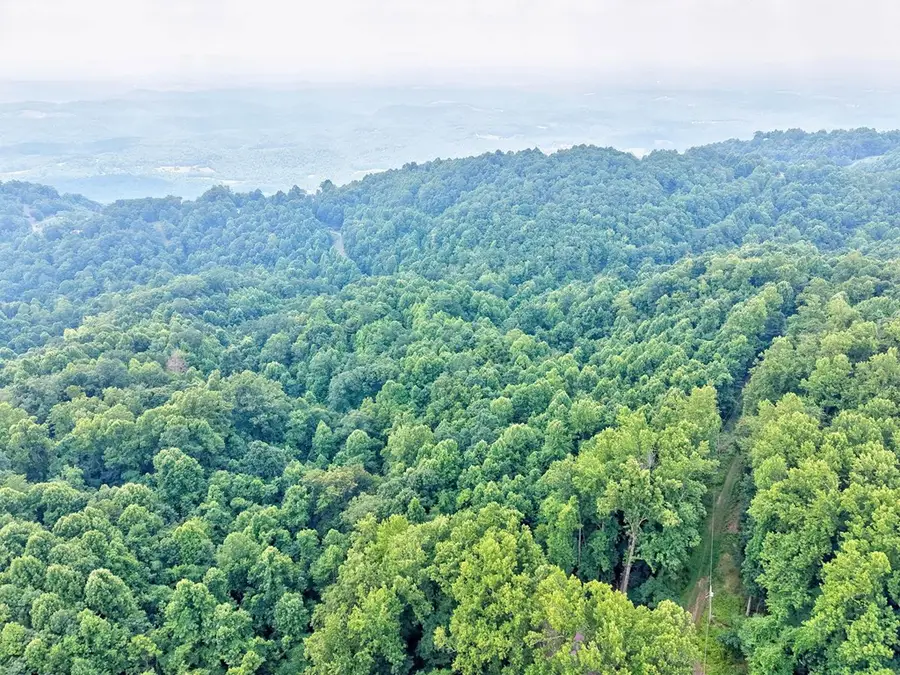 8.9 Acre Little Fawn Trl, Fancy Gap, VA 24328 - #2