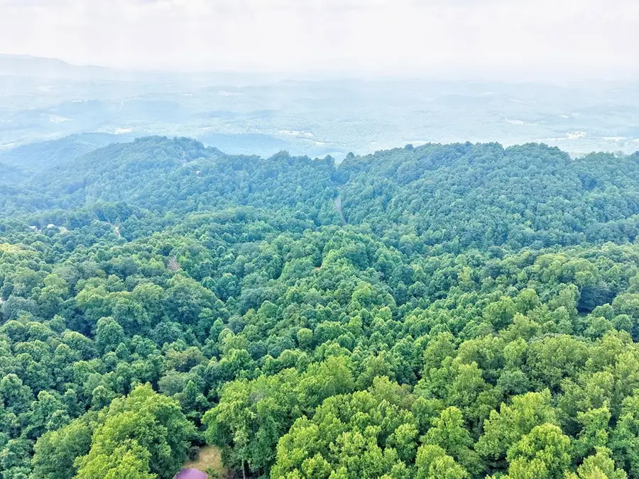 8.9 Acre Little Fawn Trl, Fancy Gap, VA 24328 - #3