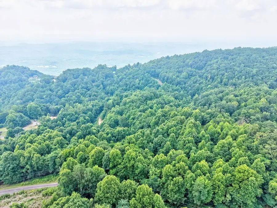 7.7 Acre Covered Bridge Trl, Fancy Gap, VA 24328 - #3