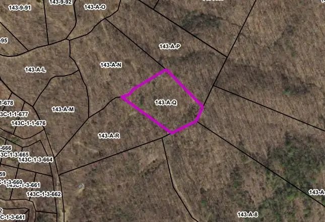 Lot 116 Spring Pond Trl, Fancy Gap, VA 24328 - #1