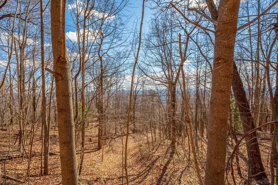 Lot 116 Spring Pond Trl, Fancy Gap, VA 24328 - #3