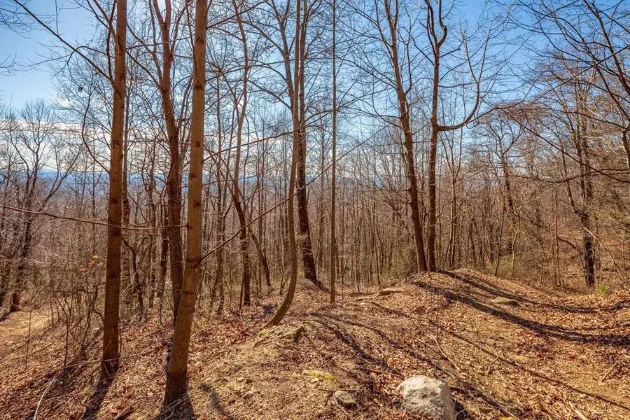 Lot 112 Spring Pond Trl, Fancy Gap, VA 24328 - #3