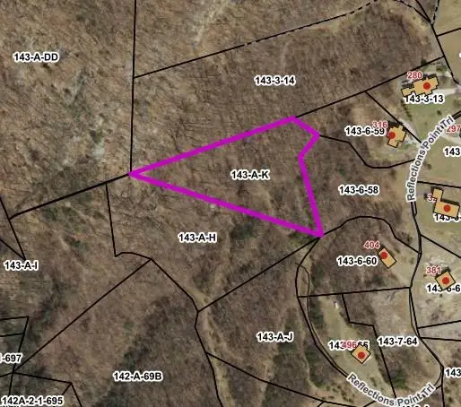 Lot 102 Spring Pond Trl, Fancy Gap, VA 24328 - #2