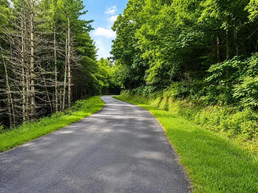 TBD Link Rd, Galax, VA 24333 - #2