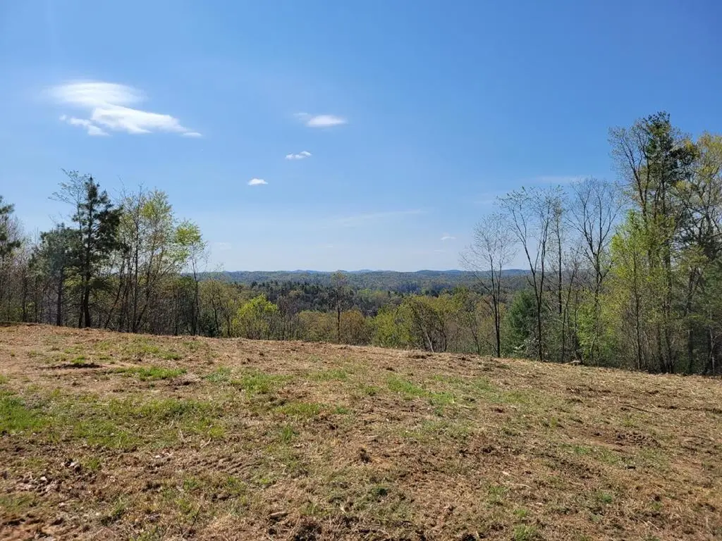 2230 Byllesby Rd, Ivanhoe, VA 24350 - #1