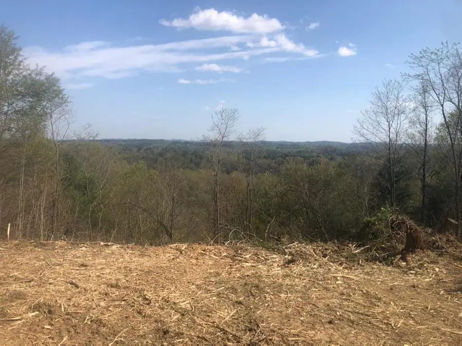 2230 Byllesby Rd, Ivanhoe, VA 24350 - #3