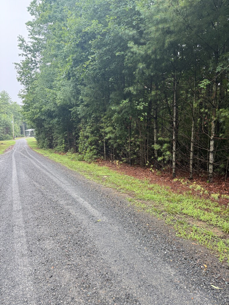 TBD Fox Spring Lane, Galax, VA 24333 - #2