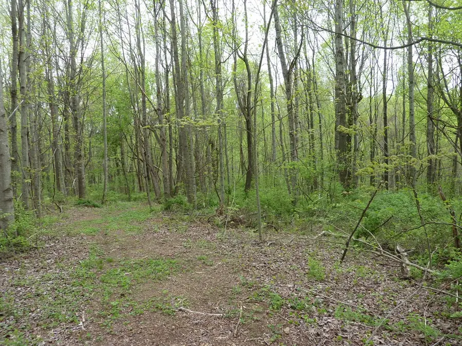 TBD Pinnacle Point Ln., Meadows Of Dan, VA 24120 - #2