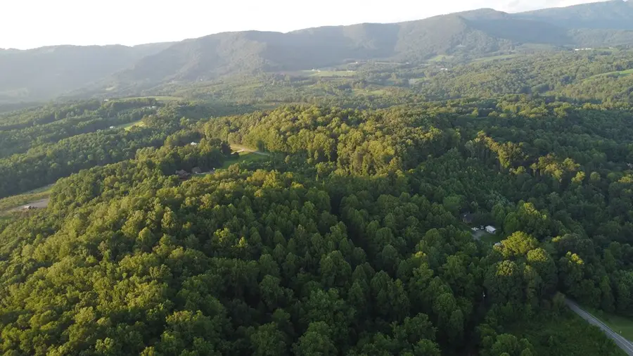 4749 Wards Gap Rd, Cana, VA 24317 - #3