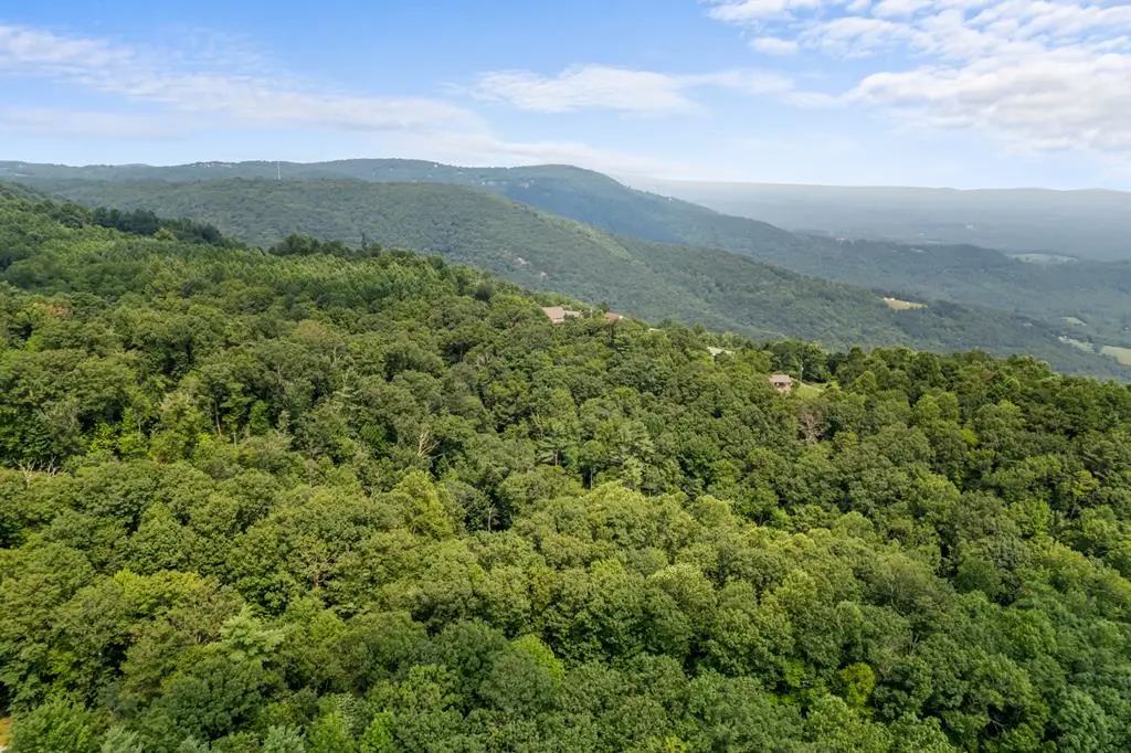 TBD Laurel Way, Fancy Gap, VA 24328 - #1
