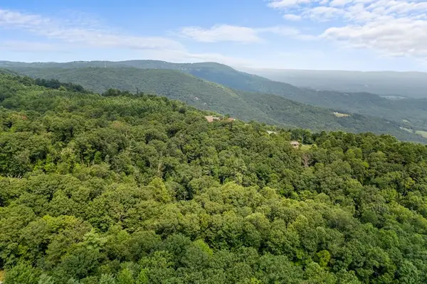 TBD Laurel Way, Fancy Gap, VA 24328