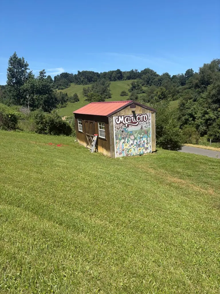 1228 Spring Valley Road, Marion, VA 24354 - #2