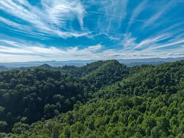 TBD Old Prater Road, Atkins, VA 24311