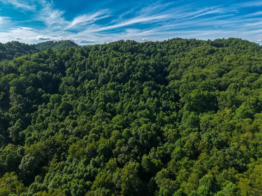 TBD Old Prater Road, Atkins, VA 24311 - #3