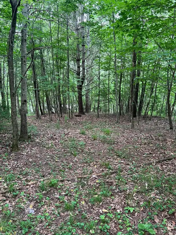 TBD Timberline Drive, Troutdale, VA 24378