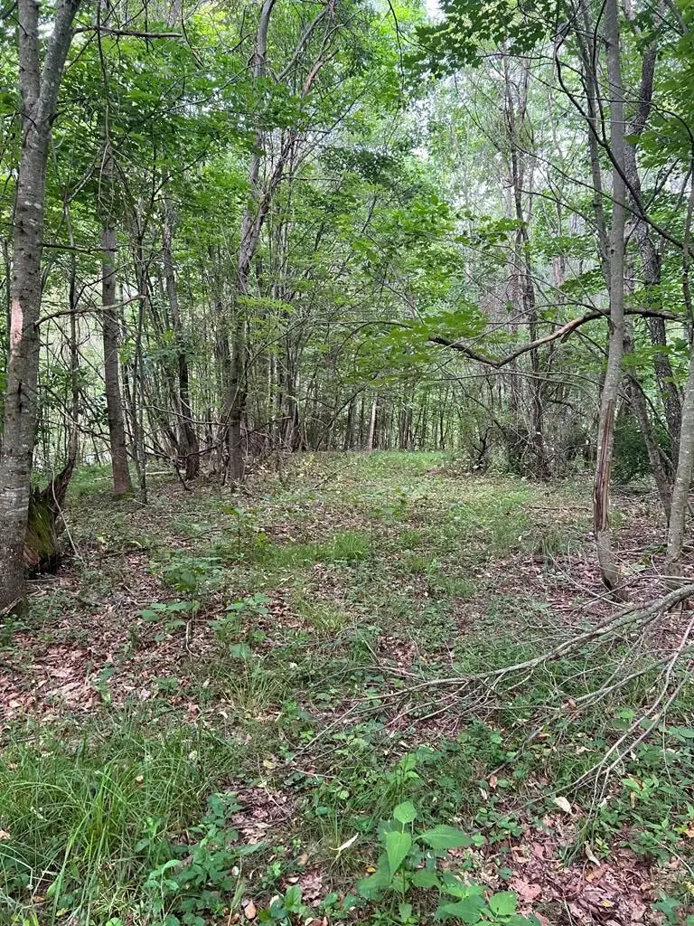 TBD Timberline Drive, Troutdale, VA 24378 - #3