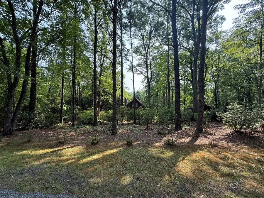 2436 Meadowbrook Rd, Cana, VA 24317 - #3