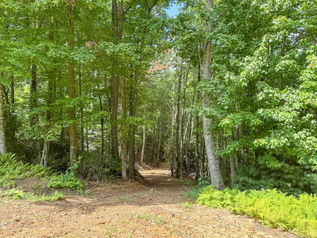 102 Mossy Oak Ln., Bland, VA 24315 - #1