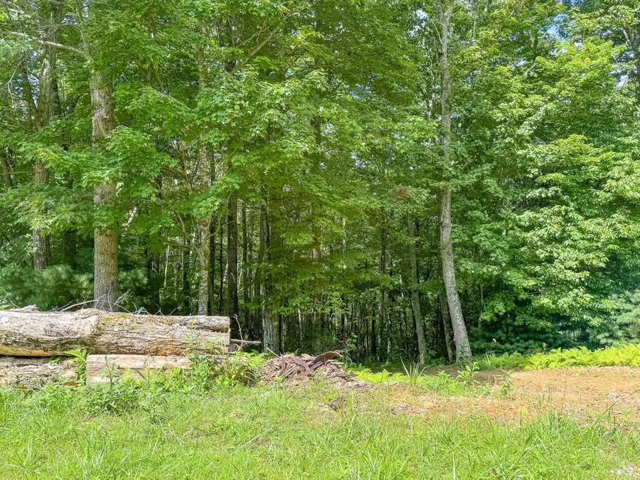102 Mossy Oak Ln., Bland, VA 24315 - #2