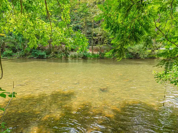 TBD Shady Branch Cir, Narrows, VA 24124