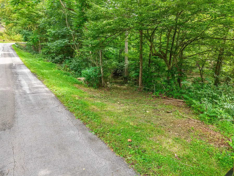 TBD Shady Branch Cir, Narrows, VA 24124 - #2