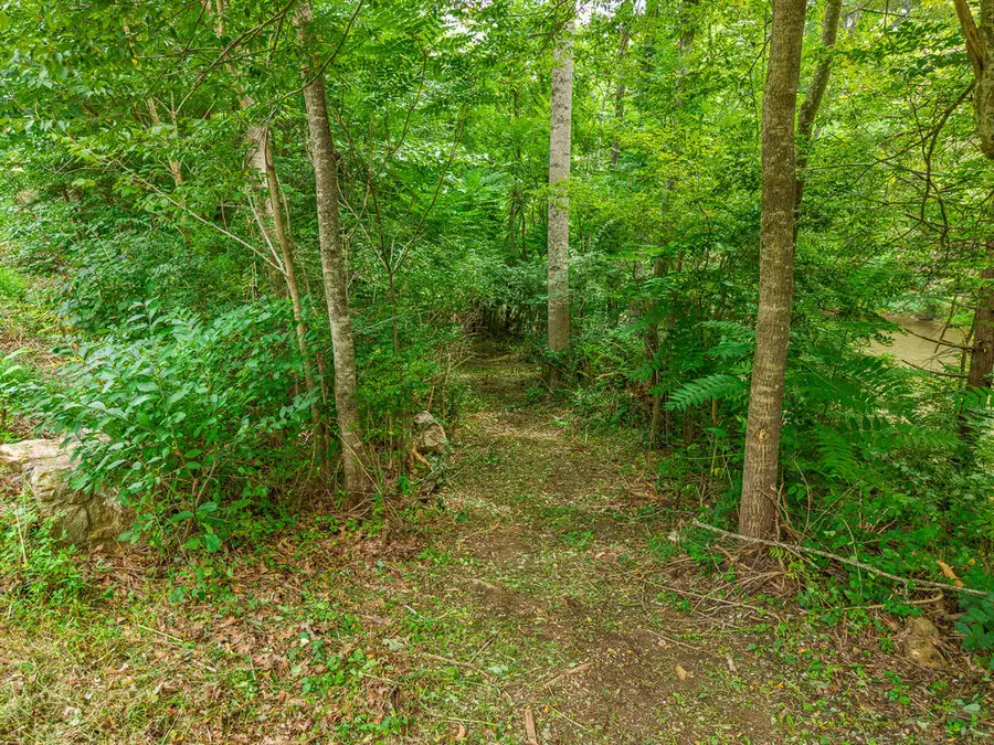 TBD Shady Branch Cir, Narrows, VA 24124 - #3