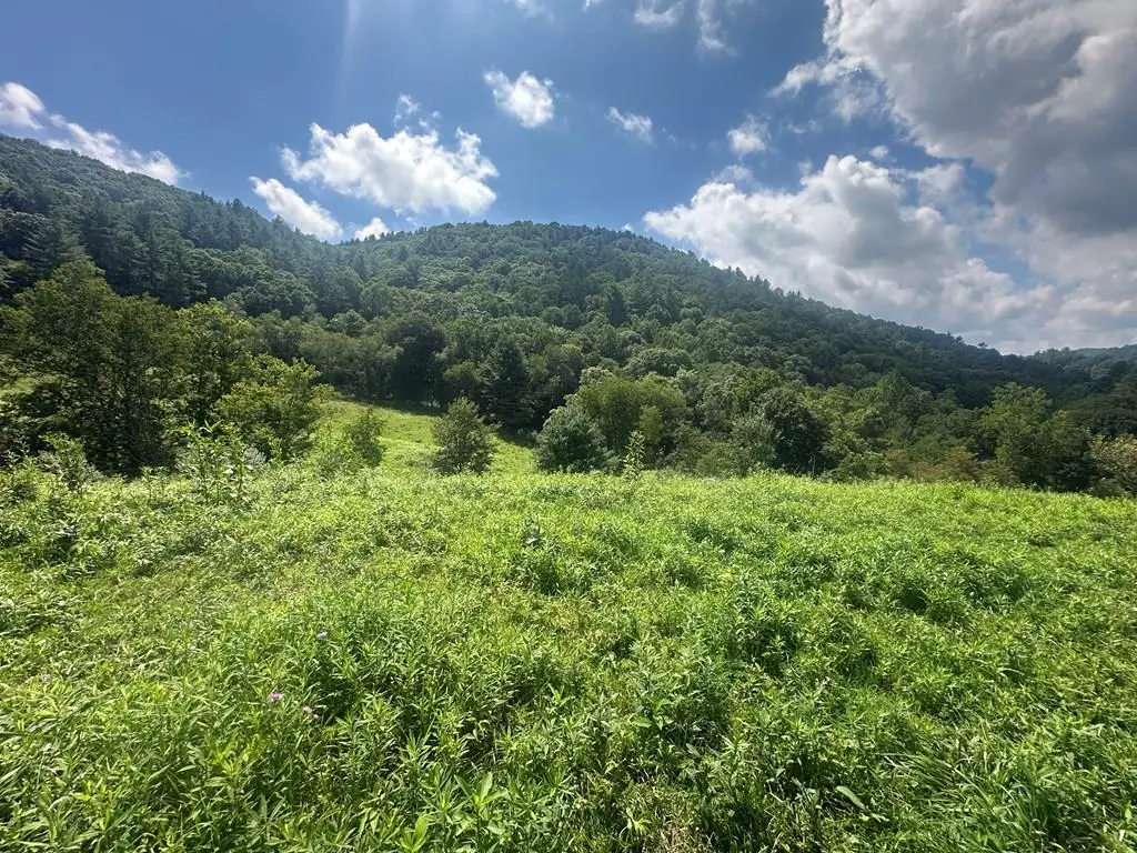 TBD Fox Creek Rd, Mouth Of Wilson, VA 24363 - #1
