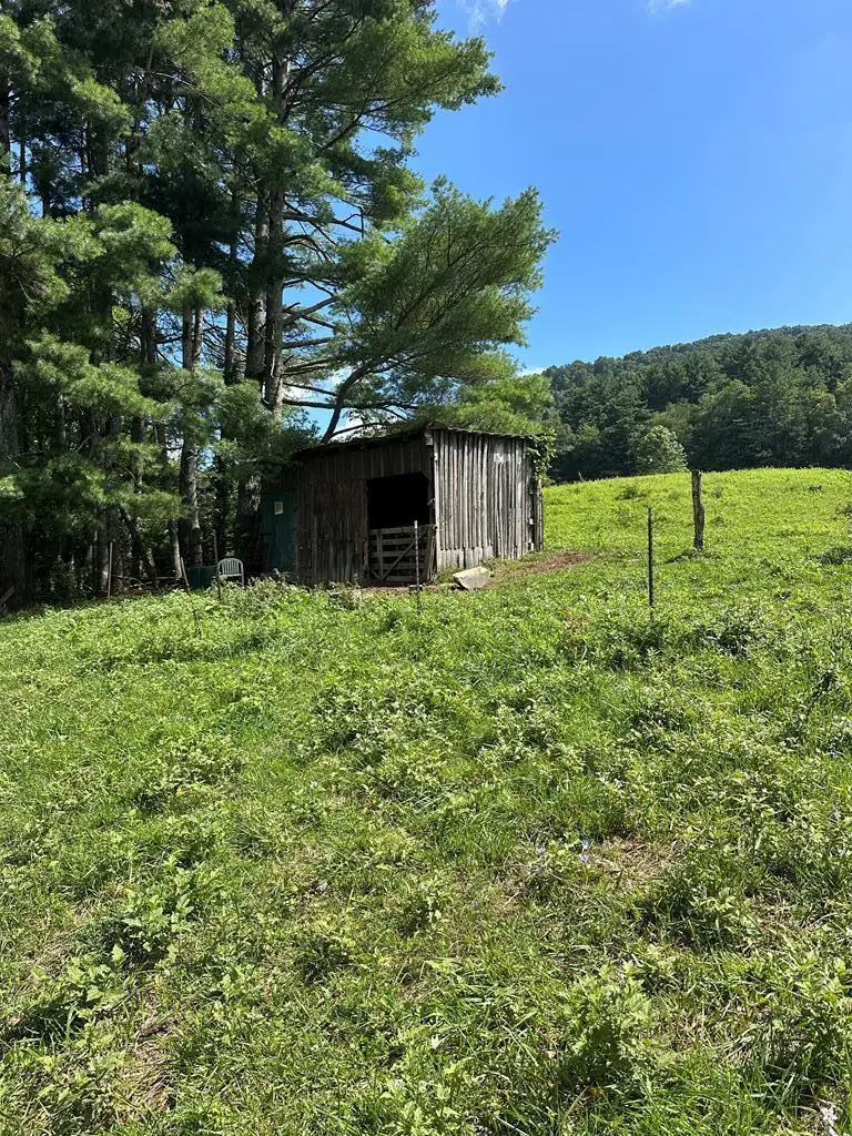 TBD Fox Creek Rd, Mouth Of Wilson, VA 24363 - #2