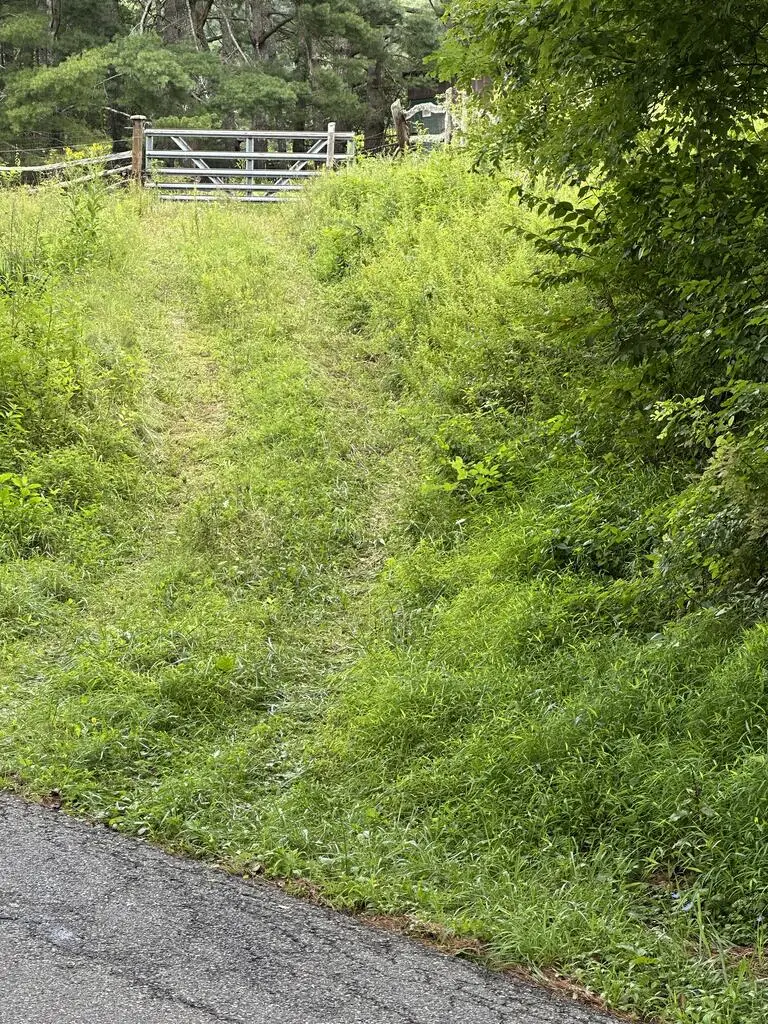 TBD Fox Creek Rd, Mouth Of Wilson, VA 24363 - #3