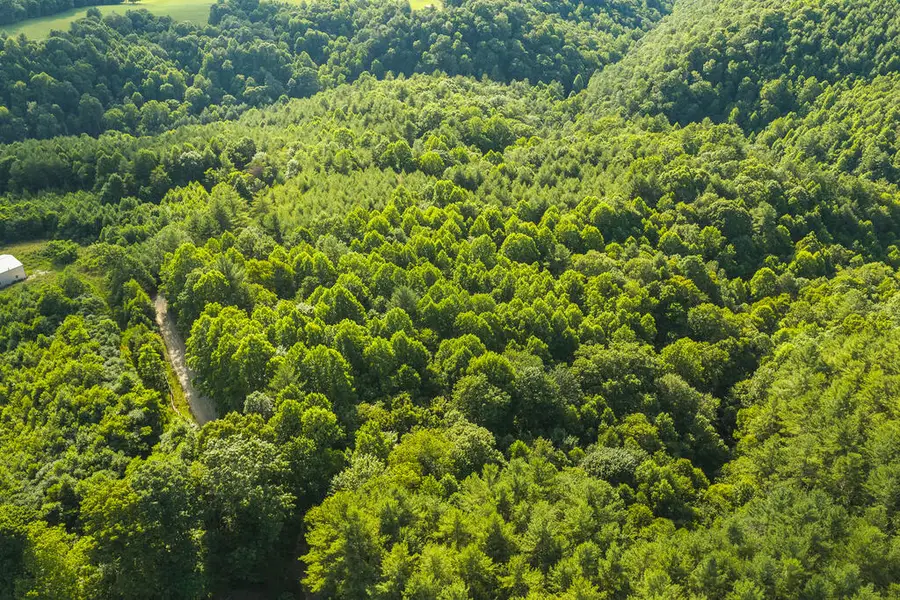 TBD Sawmill Hill Rd, Willis, VA 24380 - #2