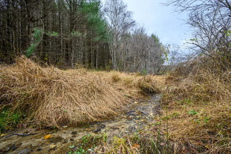 3200 Stonewall Rd NE, Pilot, VA 24138 - #2