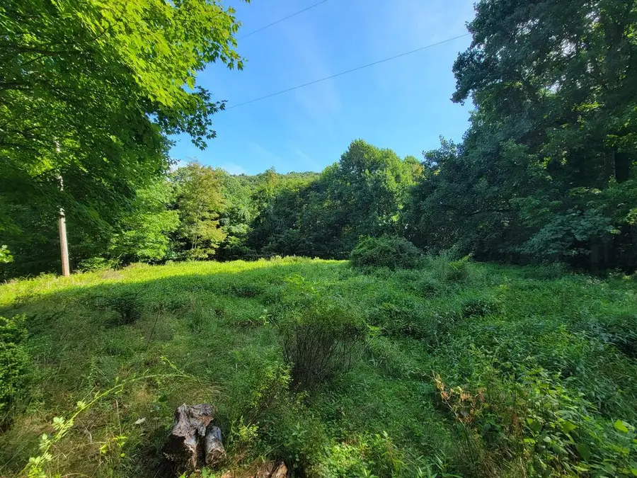 TBD Grassy Creek Rd, Mouth Of Wilson, VA 24363 - #2
