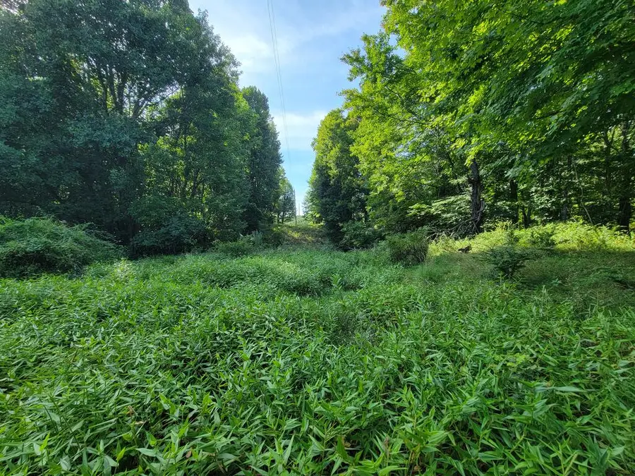 TBD Grassy Creek Rd, Mouth Of Wilson, VA 24363 - #3
