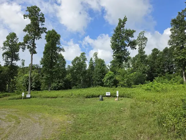 0 W Pheasant Chase, Seven Springs Pkwy, Fancy Gap, VA 24053