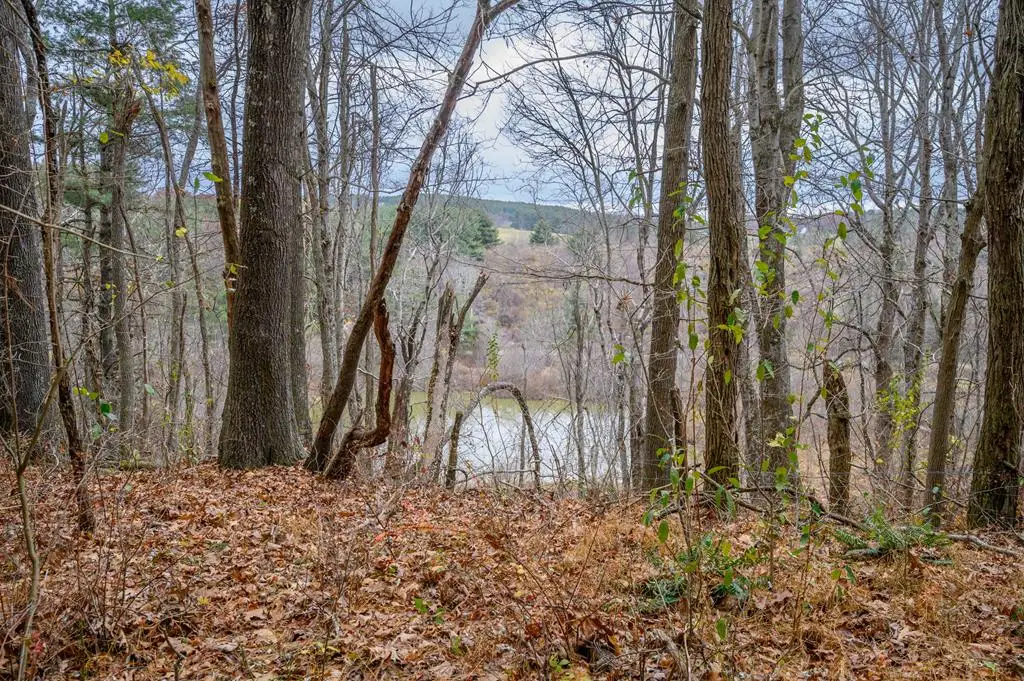 595 Wild Cherry Road NE, Pilot, VA 24138 - #1