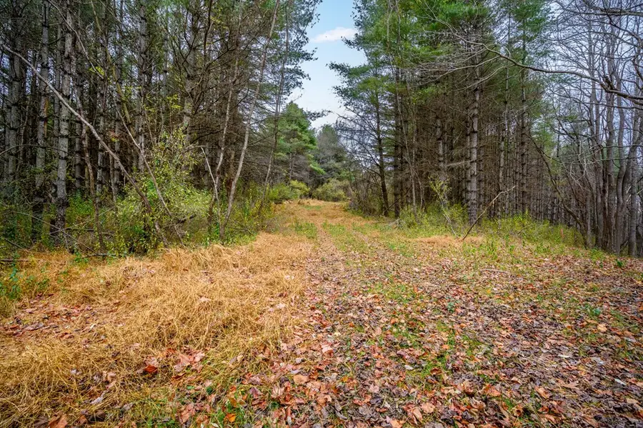 595 Wild Cherry Road NE, Pilot, VA 24138 - #2