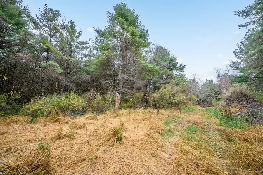 595 Wild Cherry Road NE, Pilot, VA 24138 - #3