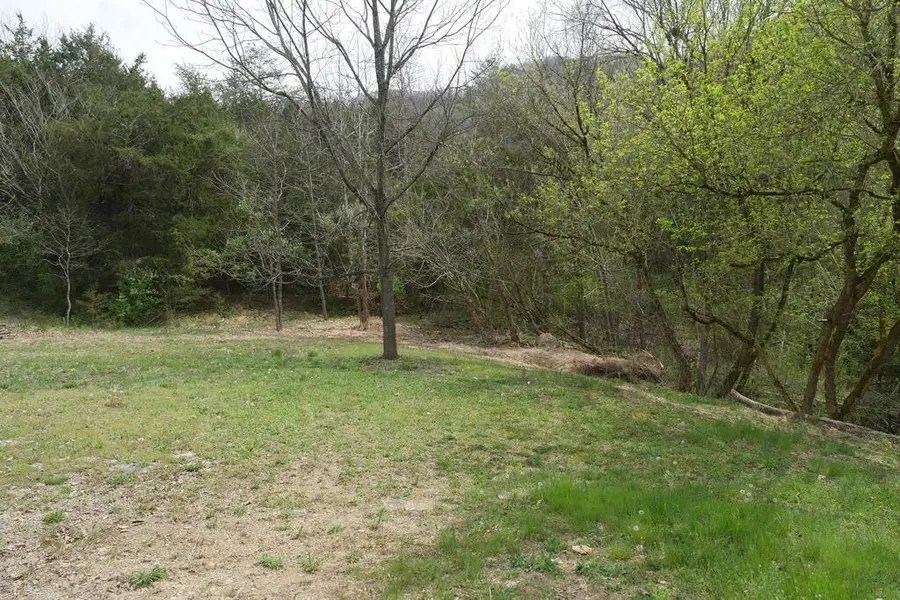 TBD Nickelsville Highway, Gate City, VA 24251 - #2