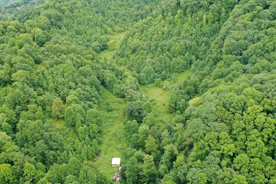 67 Acres Bowen Gap Road, Cleveland, VA 24255 - #2