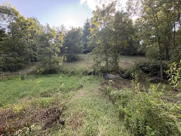 TBD Tattle Branch Rd, Chilhowie, VA 24319