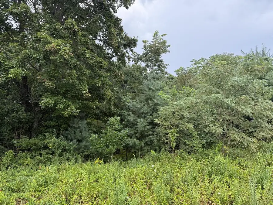 TBD Showcase Ln, Hillsville, VA 24343 - #2