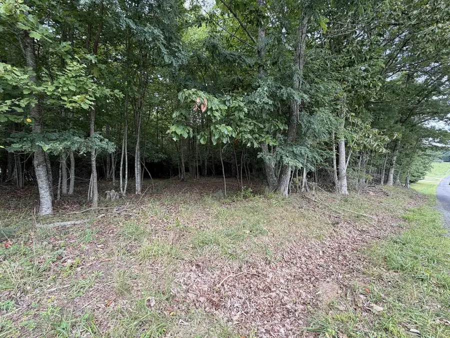 TBD Harrison Drive, Fancy Gap, VA 24328 - #2
