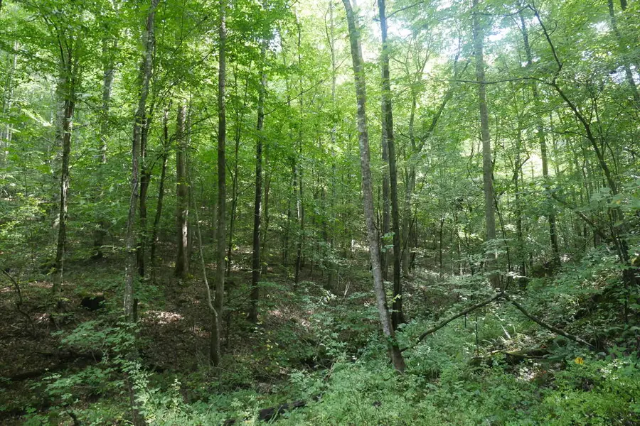 TBD State Rte 606, Pennington Gap, VA 24265 - #2