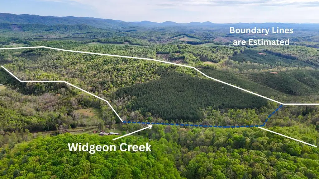 0` Charity Highway, Woolwine, VA 24185 - #1